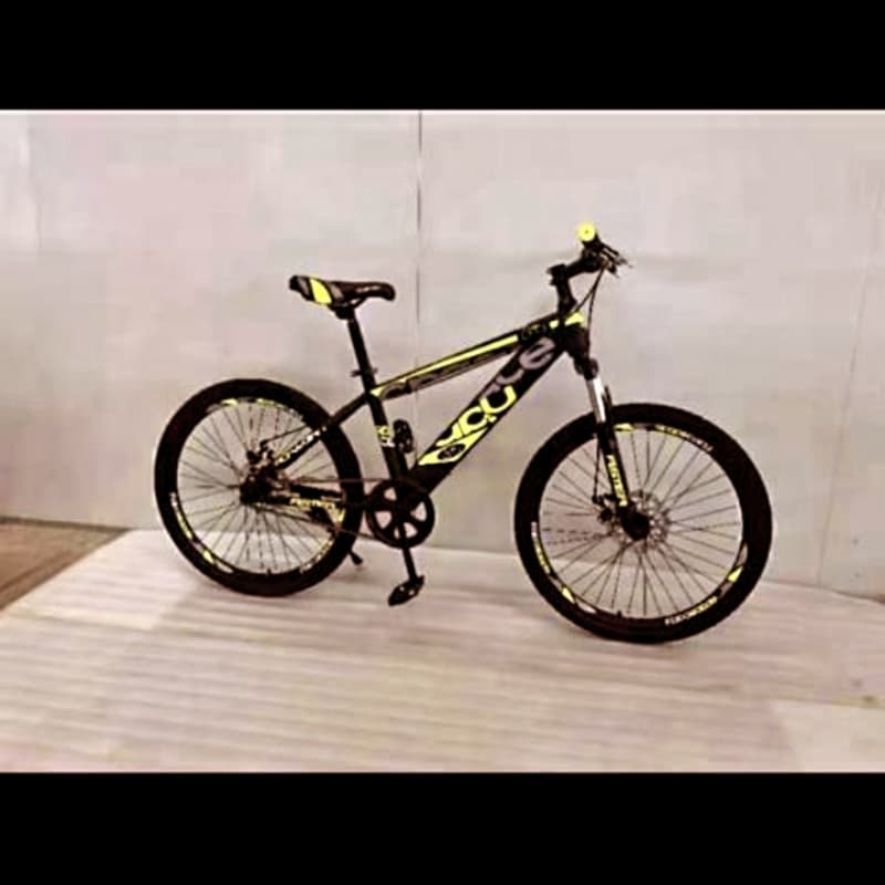 Bicycle 24 inches imported
