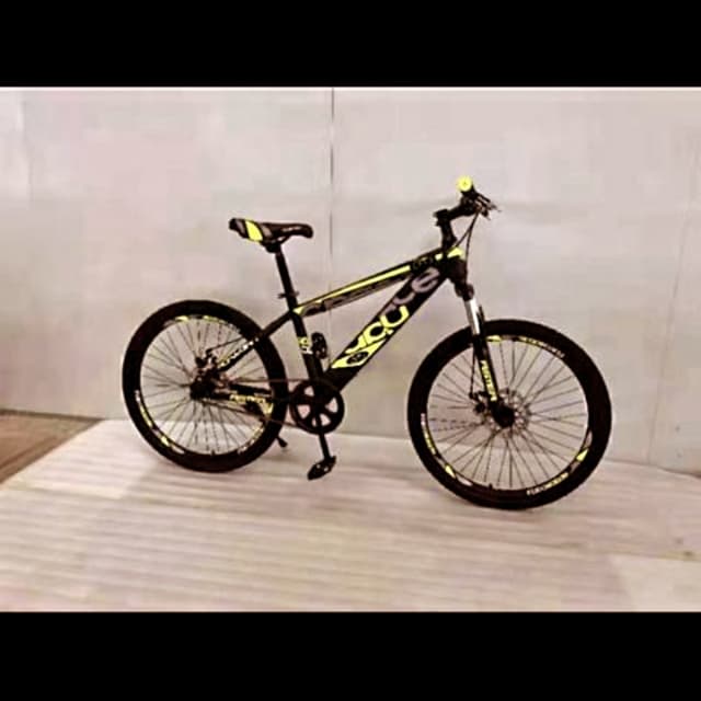 Bicycle 24 inches imported