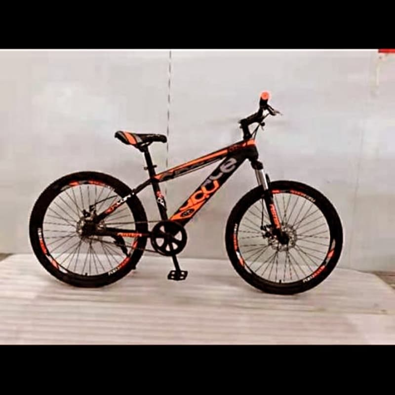 Bicycle 24 inches imported